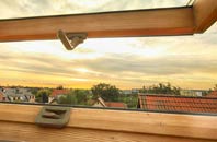 rated Greengairs roof window companies